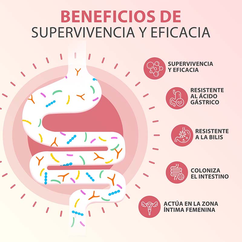 PROBIOTICOS MUJER-capsules - H - Probiotics Women Health recensie en prijs